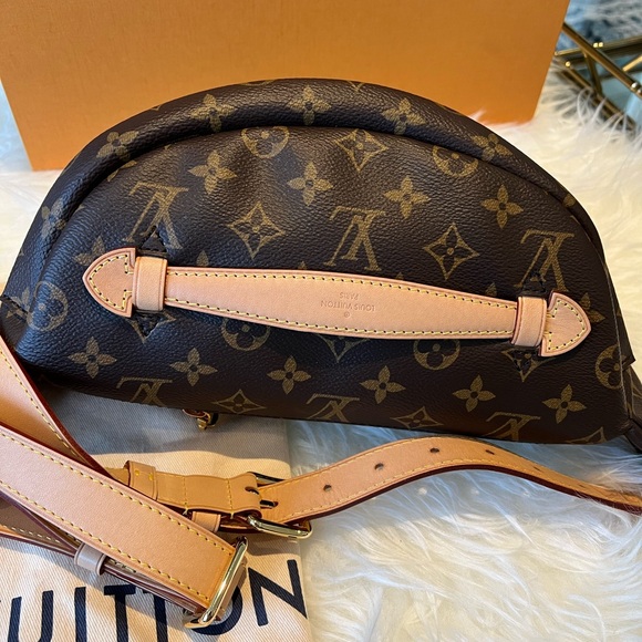 Louis Vuitton Monogram Bumbag - Picture 6 of 10